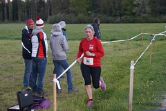27.04.2016 Wiler Waldlauf