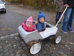 06.11.2016 Herbstlauf