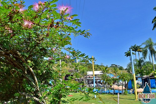 batch_DSC_0025