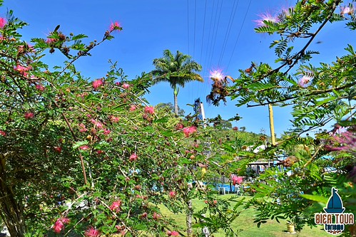 batch_DSC_0026