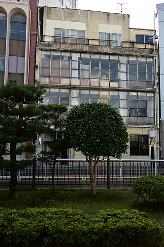 DSC_0393