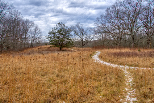 Snowy Path | by JMS2