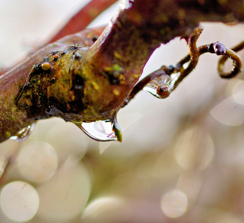 frozen........ | by atsjebosma