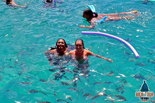 batch_IMG_6088