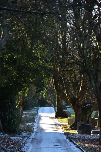 Path | by alex987854