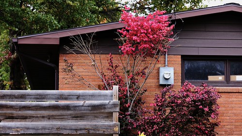 Autumn Color.