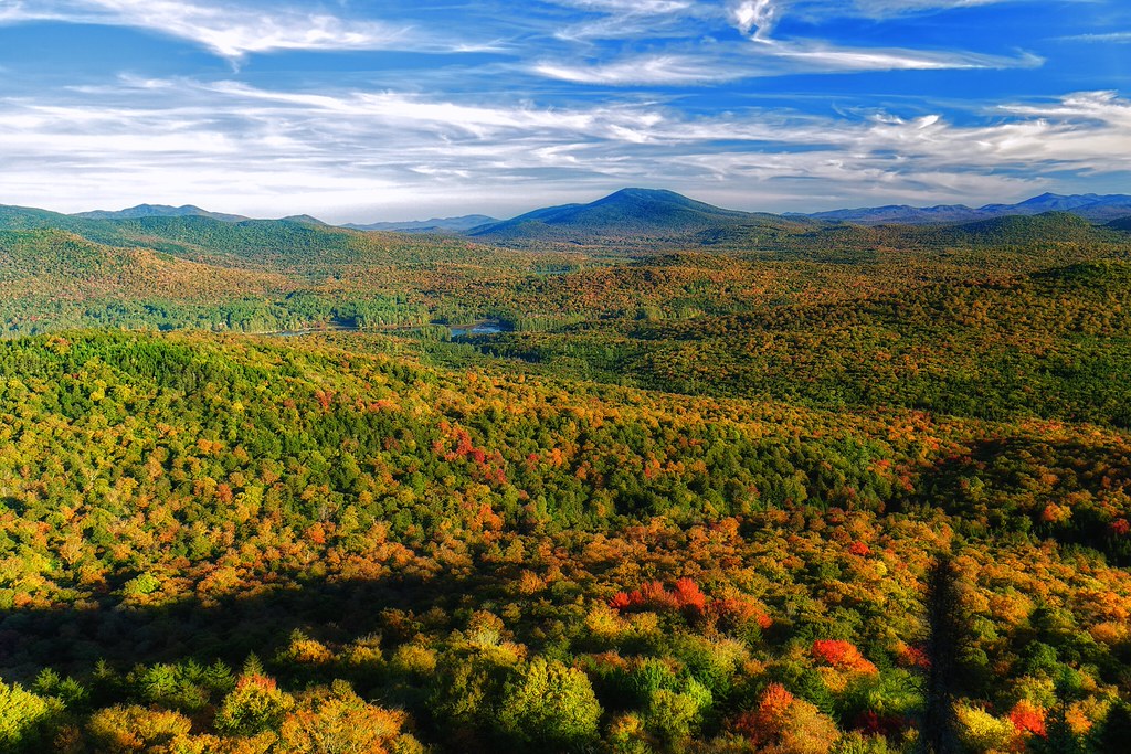 A wide view from a height over rolling forest just turning, gold and green with scattered red maples, toward a ring of blue peaks.