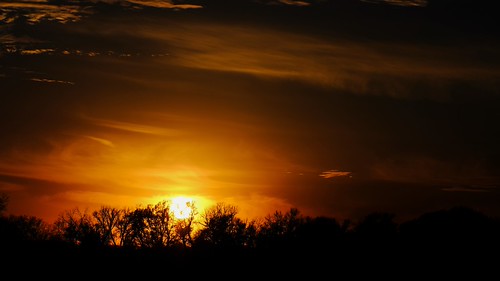 Sunrise 82.