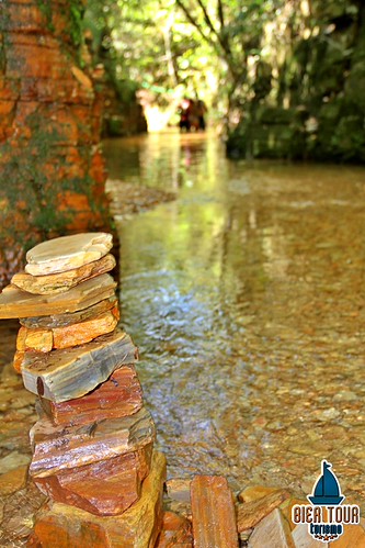 batch_IMG_3215