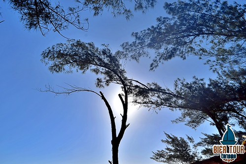 batch_DSC_0295