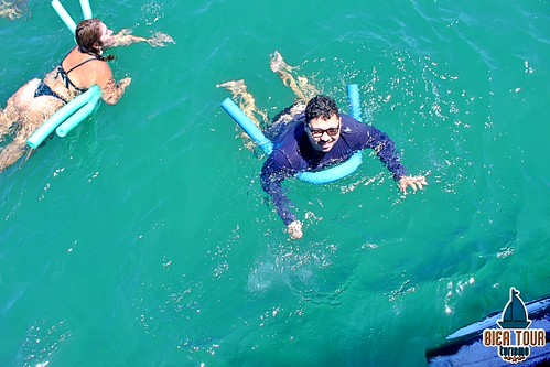 batch_IMG_6809