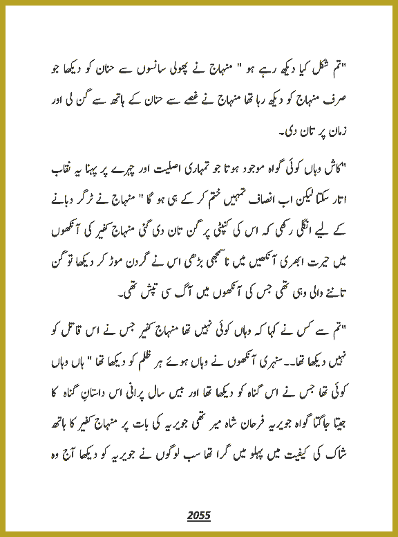 Page 2055, page 1