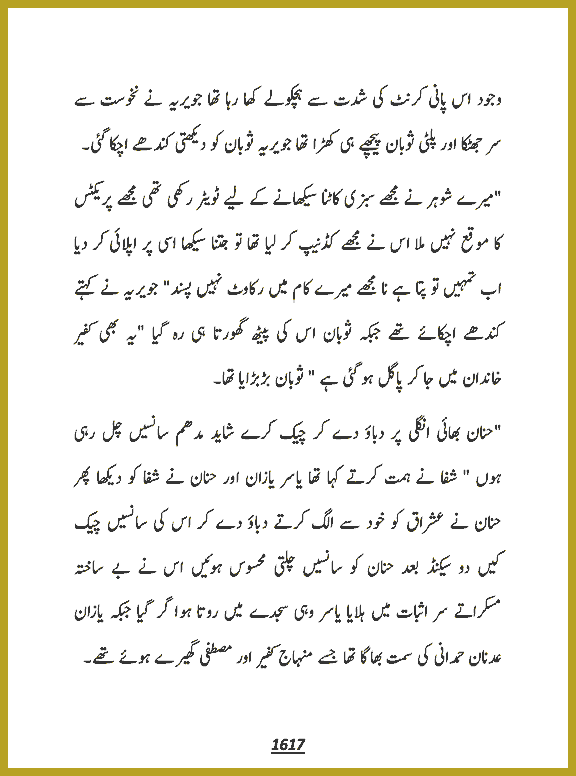 Page 1617, page 1