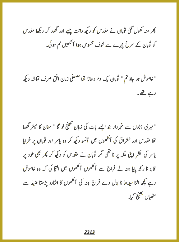 Page 2313, page 1
