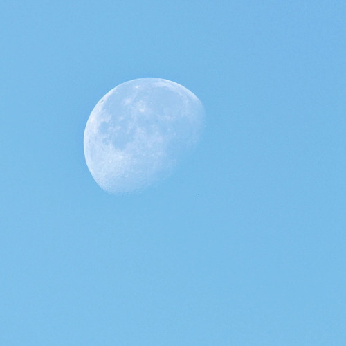 Mond bei Tageslicht 🌝 Archivfoto vom 21.10.2024
