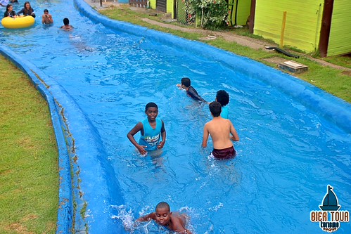 batch_IMG_4373