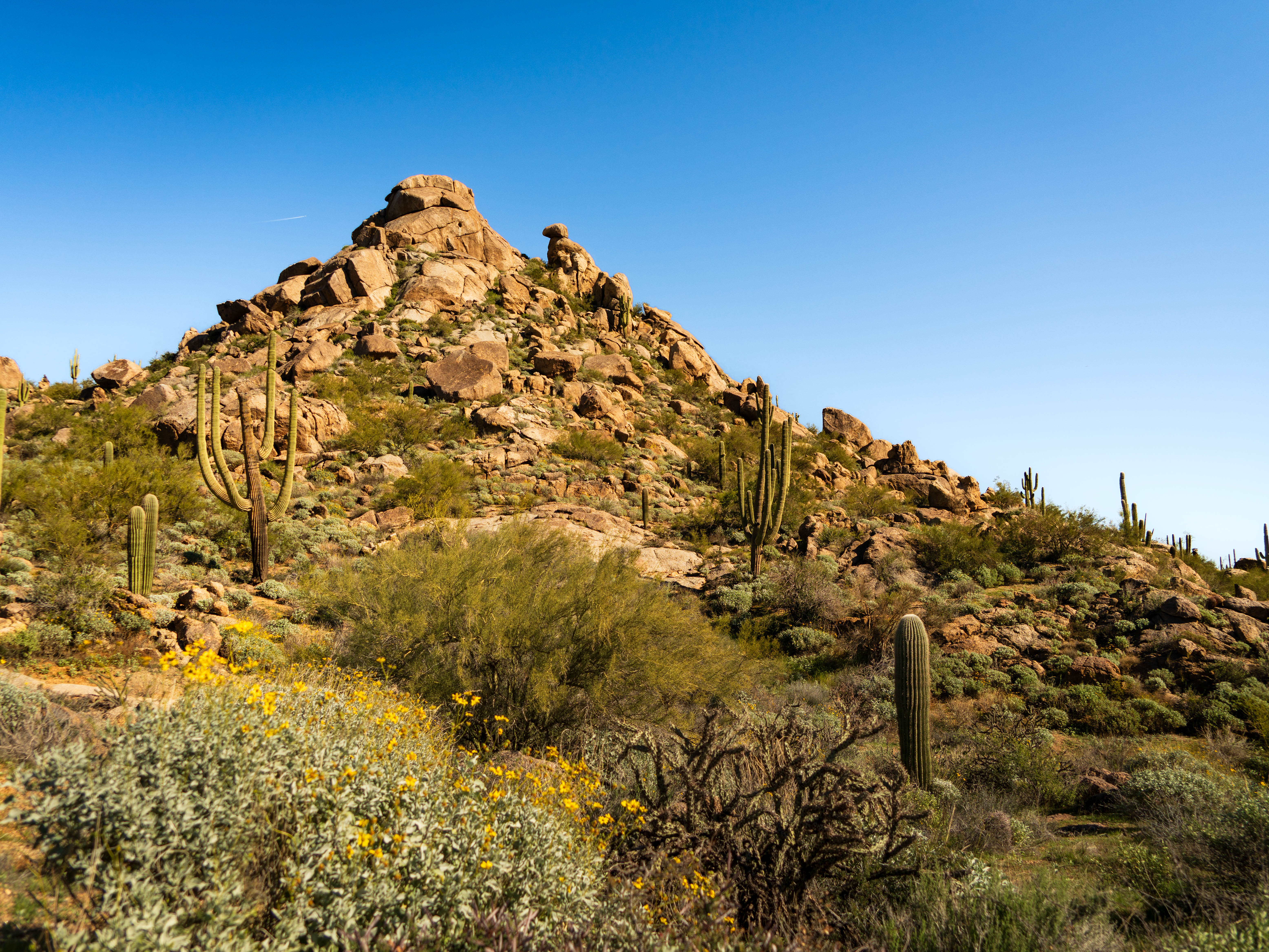 Granite Mountain Loop Trail - McDowell..