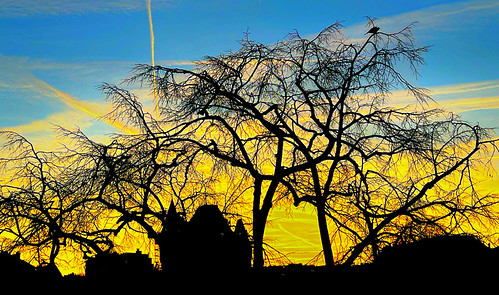 'A Brilliant Morning' - EXPLORED 25/01/26 - Brussels by odebruxelles, castel castelet castle chateau resilience silence silhouette sillages shadows ville brussel brussels