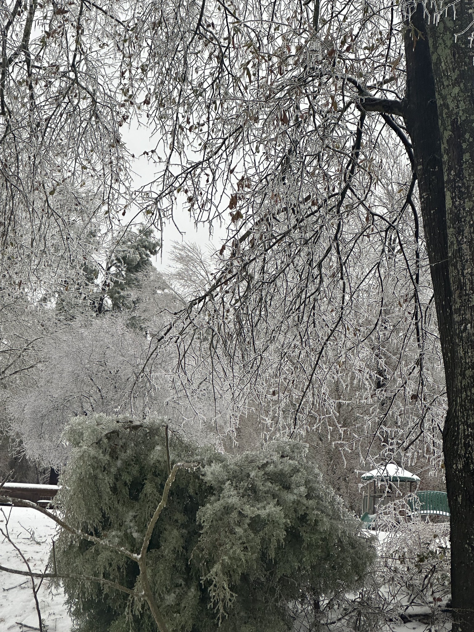 IMG_7871