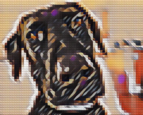 Lego Rayna, filtered