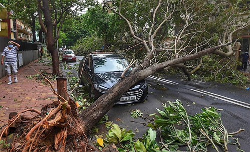 Danos por fenómenos da Natureza: A apólice está preparada para tempestades?