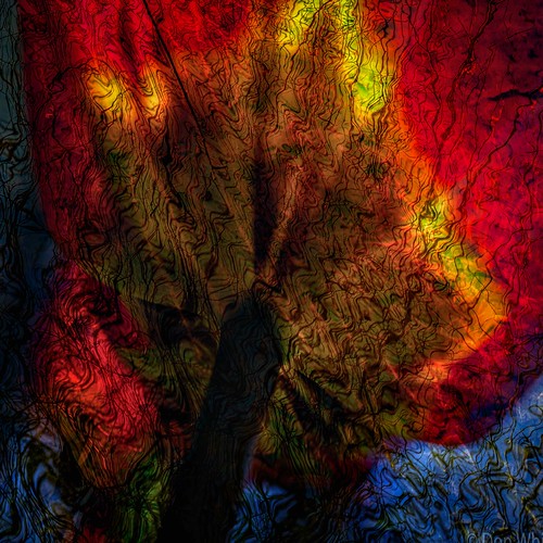 Double Exposure | by Don White (Burnaby)