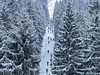 foto: ČEZ Jizerská 50
