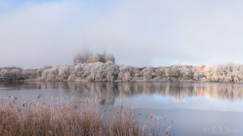 Winter art by the pond | by Frank J. Z.