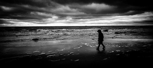 The Wanderer’s Zen | by Sputnik_09