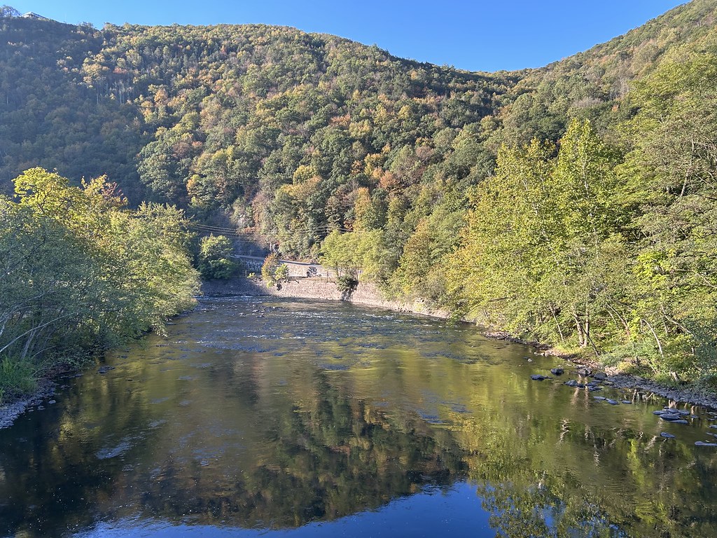Morning sun lights a steep hillside just turning, green with yellow, orange and rust patches, above the calm river.