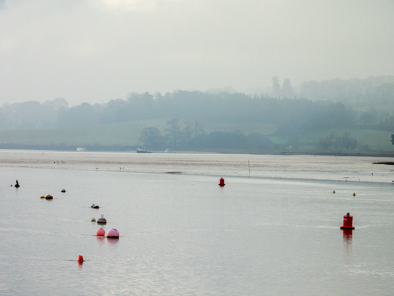 Estuary views: distant drizzle