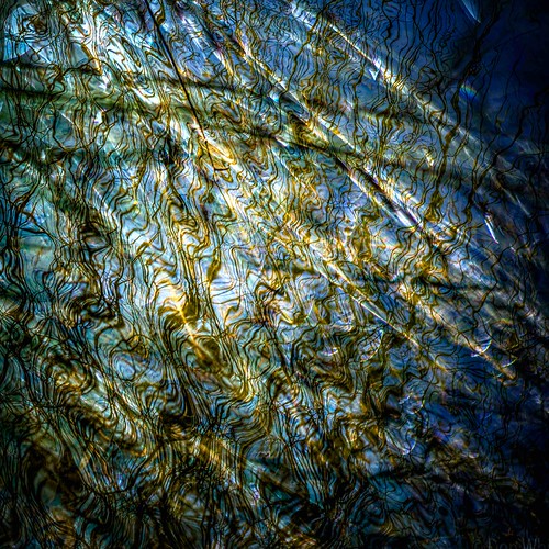 Double Exposure | by Don White (Burnaby)