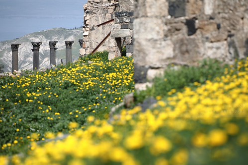 Field of views | by Elios.k