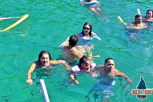 batch_IMG_8060