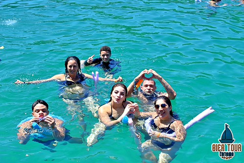 batch_IMG_8737