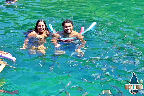 batch_IMG_8658
