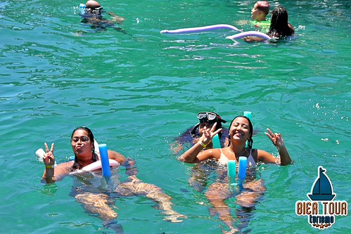 batch_IMG_4278
