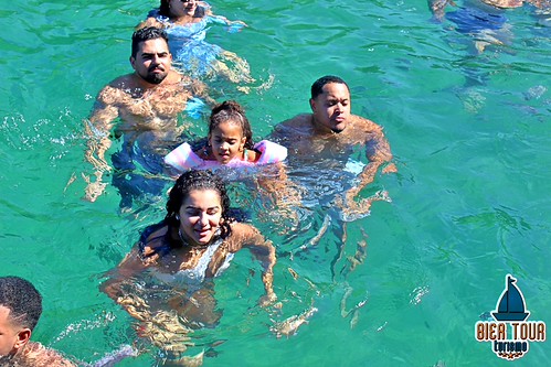 batch_IMG_8062