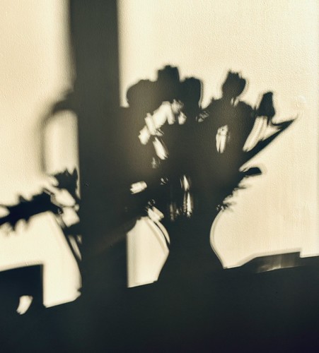 Shadow play | by lozpage39
