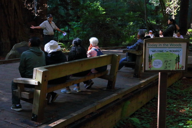 IMG_9844 Muir Woods National Monument