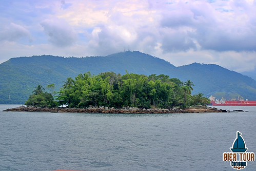 batch_IMG_2625