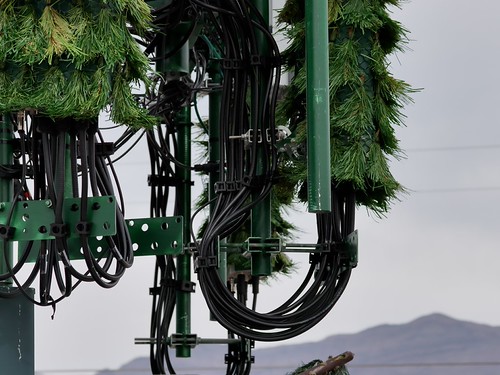 Cell Tower Inspection Photos - NLV - February 2026 - Client Photo Gallery