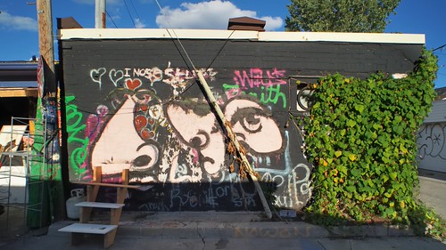 Laneway garage wall art, Little Portugal, Toronto..