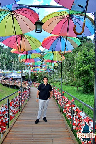 batch_IMG_9195