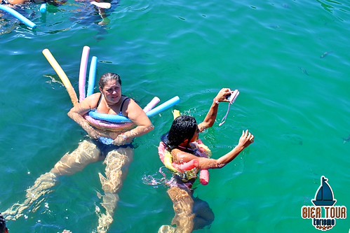 batch_IMG_3982