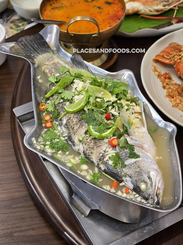 savoey seabass