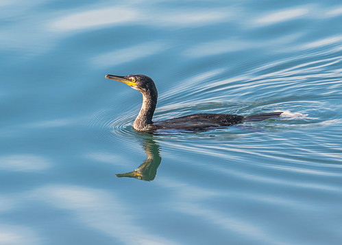 Calm Water | by David Hall DRH Photography