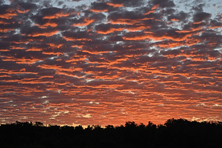 Sunset clouds - Yanchep National Park