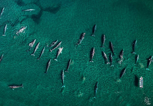 Buceo_023