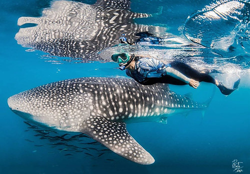 Buceo_027